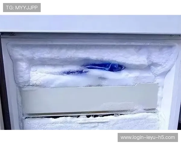 朱婷家的冰箱里只放蛋白粉和冰块