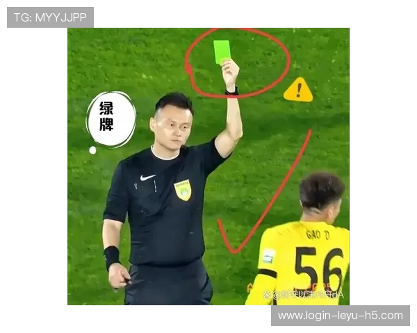 不当行为的判罚标准：哪些动作会被裁判认定为非体育道德行为？